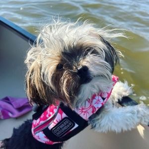 Meet your Posher, Muff-anne